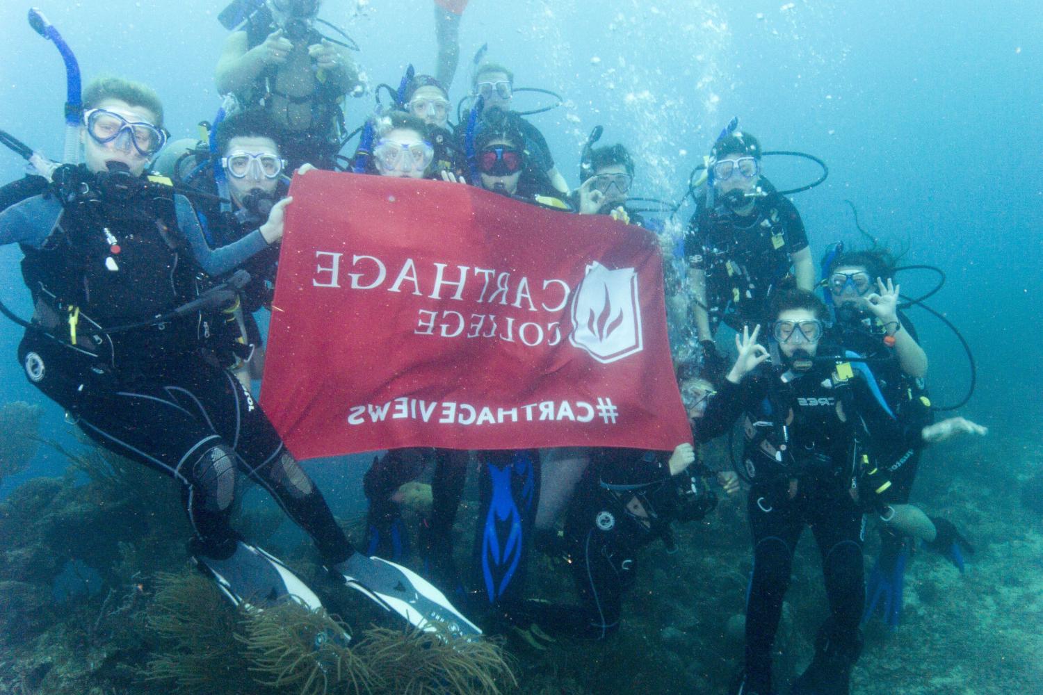 学生们手持<a href='http://bezg.ngskmc-eis.net'>bv伟德ios下载</a>旗帜，在j学期洪都拉斯游学之旅中潜水.